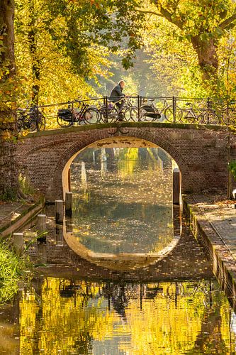 Cyclist over the Magdalena Bridge in the fall.
