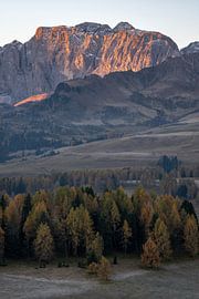 Das erste Licht auf den Berggipfeln von Anges van der Logt