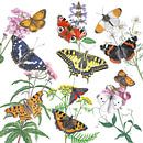 Wilde planten en haar vlinders van Jasper de Ruiter thumbnail