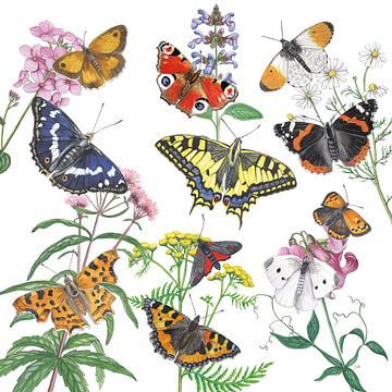 Wilde planten en haar vlinders van Jasper de Ruiter
