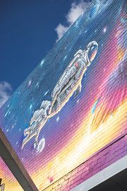 Fitzroy: Het Artistieke Hart van Melbourne van Ken Tempelers