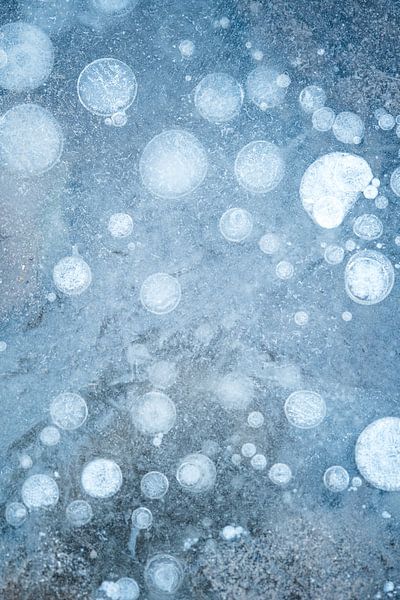 Bubbles von Peter Proksch