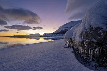 Lapporten in sneeuw en ijslandschap van Arina Kraaijeveld