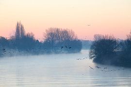 Bremen : Morgennebel an der Weser