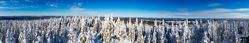 Besneeuwde panorama van Zweedse heuvels