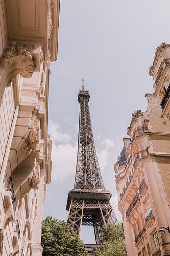 Eiffel toren | Parijs