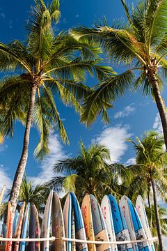 Hawaii von Laura Vink