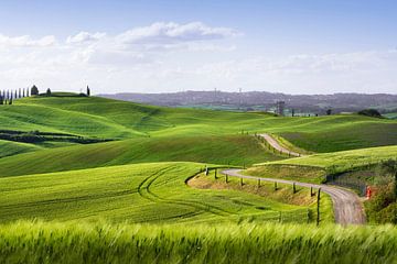 Die Route der Via Francigena und Siena im Hintergrund.