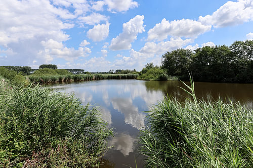 Zeeuwse Kreek
