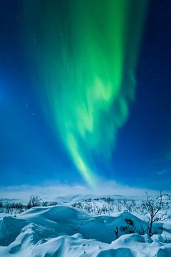 Noorwegen met noorderlicht van Gerald Lechner