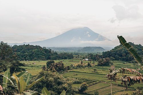 Paradise Views: Rice fields and Mount Agung in Enchanting Bali