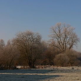 Un morceau de paysage feutré de la Drenthe. sur Wim vd Neut