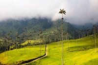Salento, Colombia