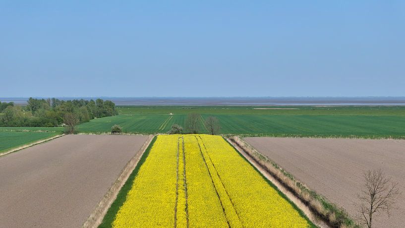 Blick auf den Jadebusen zwischen Wapelersiel und dem Vareler Hafen von Andreas Wemmje