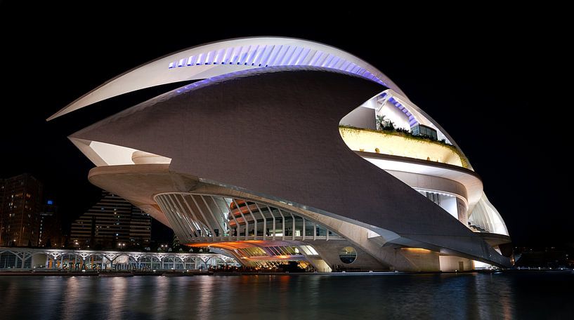 Valencia, Ciudad de las Artes y las Ciencias von Bart cocquart
