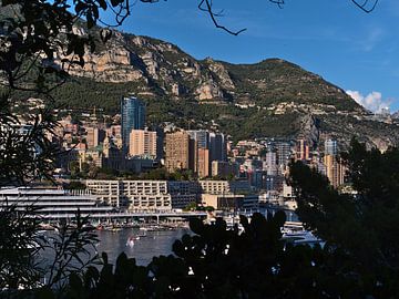 Monaco von Timon Schneider