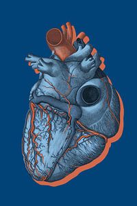 it is Called a Heart