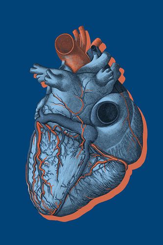 it is Called a Heart sur Marja van den Hurk