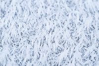 De magie van de vorst, abstracte winterse rijp van dichtbij