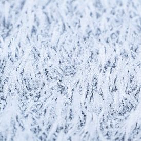 De magie van de vorst, abstracte winterse rijp van dichtbij van Christiaan Poot