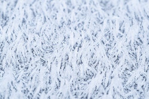 La magie du givre, le givre hivernal abstrait de près sur Christiaan Poot