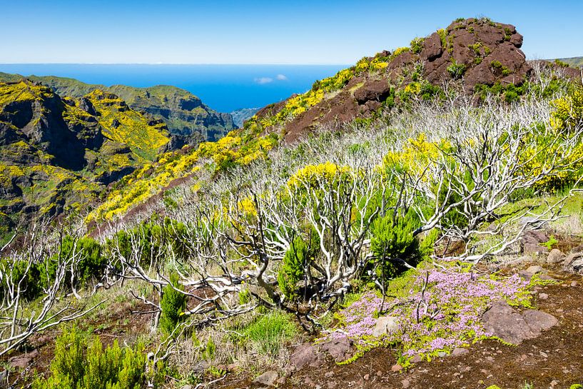 Bergen en oceaan in Madeira van Michel van Kooten