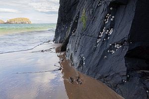 Ballintoy Geheimer Strand von Johan Zwarthoed