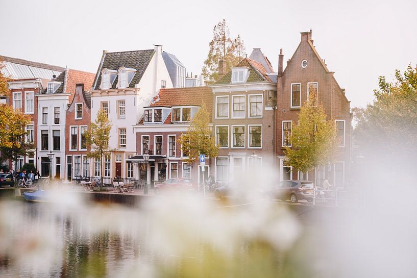 Golden hour stralen op de bloemen langs de grachtenpanden aan de Leidse gracht | Kleurrijke fine art van Evelien Lodewijks