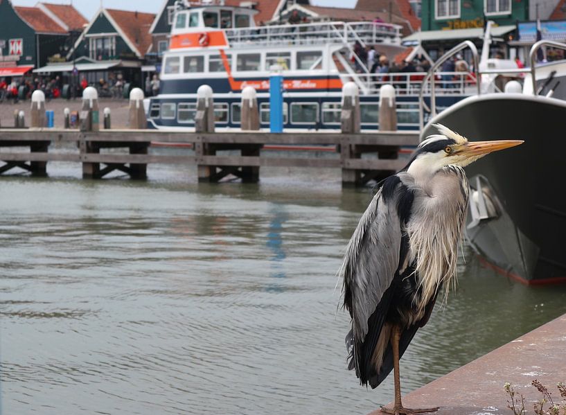 Que contient Volendam ? par Lisa Leenders