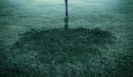 Ombre d'un Arbre Digital Painting