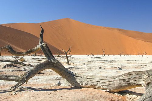 Namibia: Red Dunes
