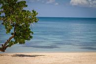 Caribisch strand met blauwe zee van Malu de Jong thumbnail