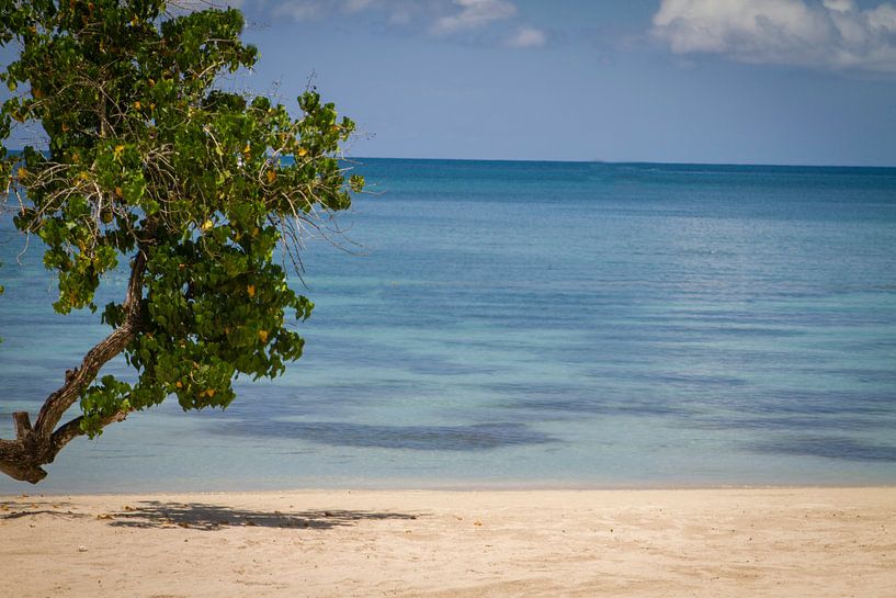 Caribisch strand met blauwe zee van Malu de Jong