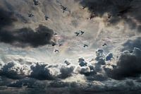 Donkere wolken met vrije vogels