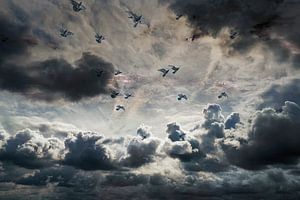 Dark clouds with free birds by Marijke de Leeuw - Gabriëlse