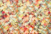 Flowery fields II
