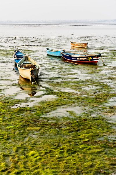 Silence and serenity on the shore of Diu by Frank Photos