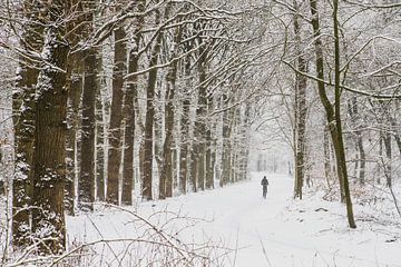 Winterlandschaft in den Niederlanden auf dem Utrechter Höhenrücken von Peter Haastrecht, van