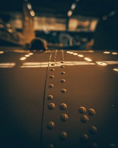 Rivets d'aile