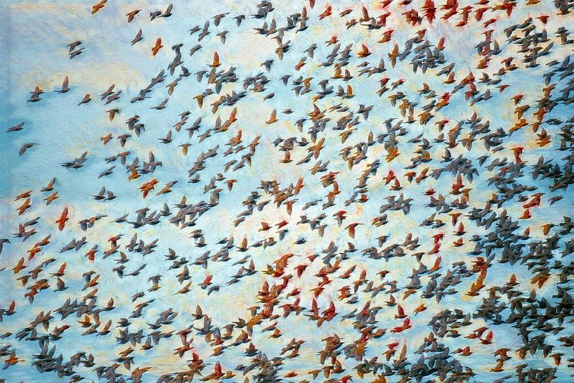 Breath of autumn, swarm of birds by Yanuschka | Fotografie Noordwijk