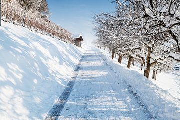 Besneeuwde Zwitserse wijngaarden naast het pad van Besa Art