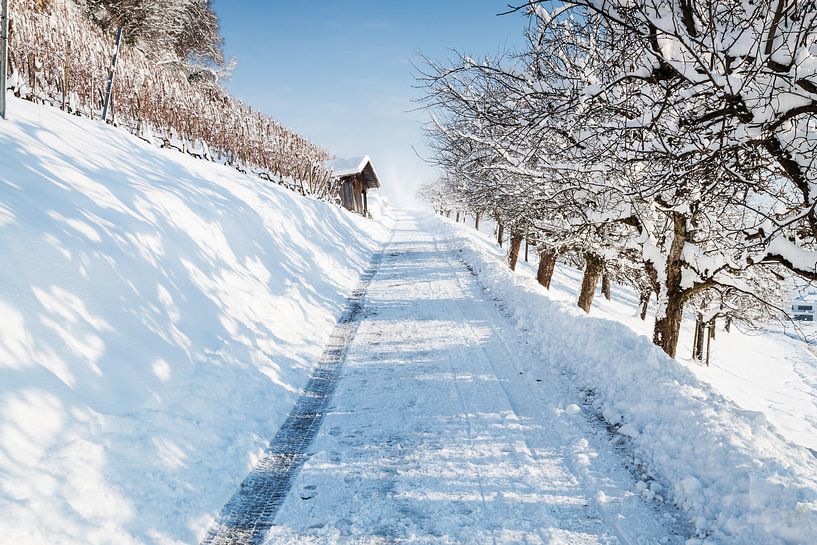 Verschneite Schweizer Rebhänge neben Weg von Besa Art