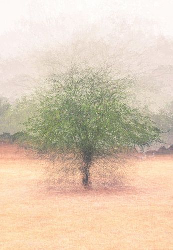 Wolfhezerheide part 49