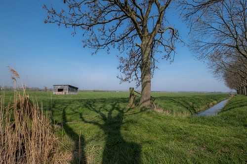 Schuur in weiland 03