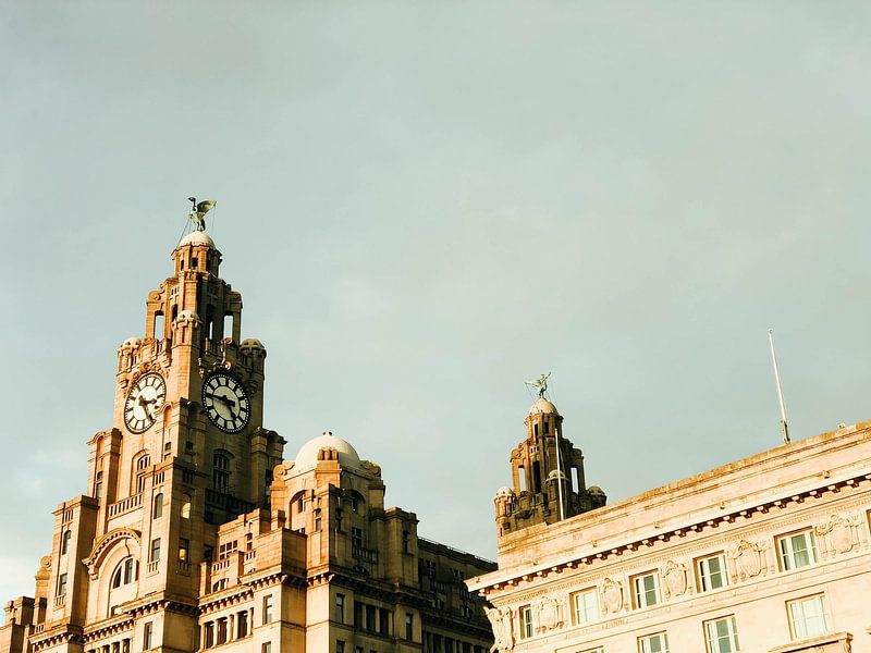 Liverpool by Hello Pompoyo