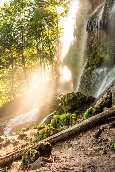 Glanz-Fall von Severin Frank Fotografie