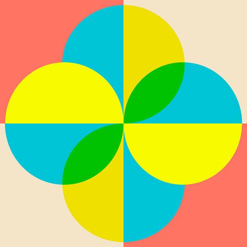 Scandinavische Retro Abstractie