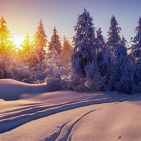 Winterlandschap met zonsondergang in het bos, illustratie 06 van Animaflora PicsStock