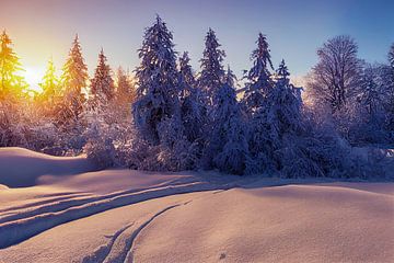 Winterlandschap met zonsondergang in het bos, illustratie 06 van Animaflora PicsStock