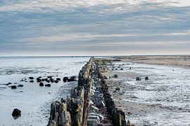 Wattenmeerküste @Moddergat-Paesens (Friesland) von Roland's Foto's